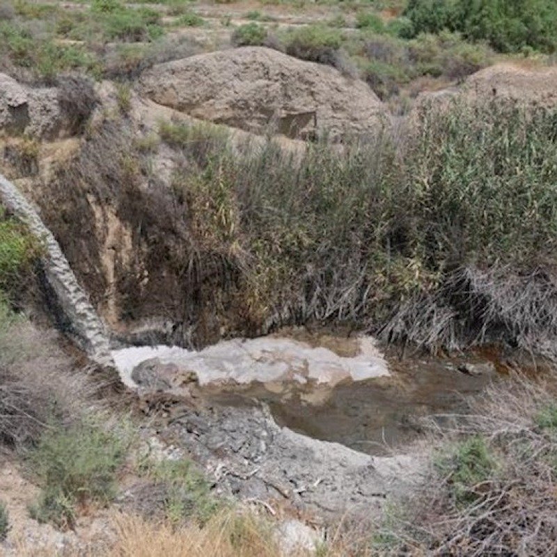 Sumqayıtda bu müəssisə tullantı sularını çaya axıdıb – Fotolar