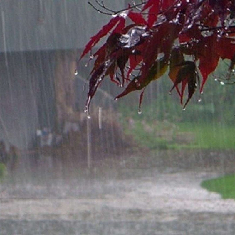 Növbəti üç gündə leysan yağacaq