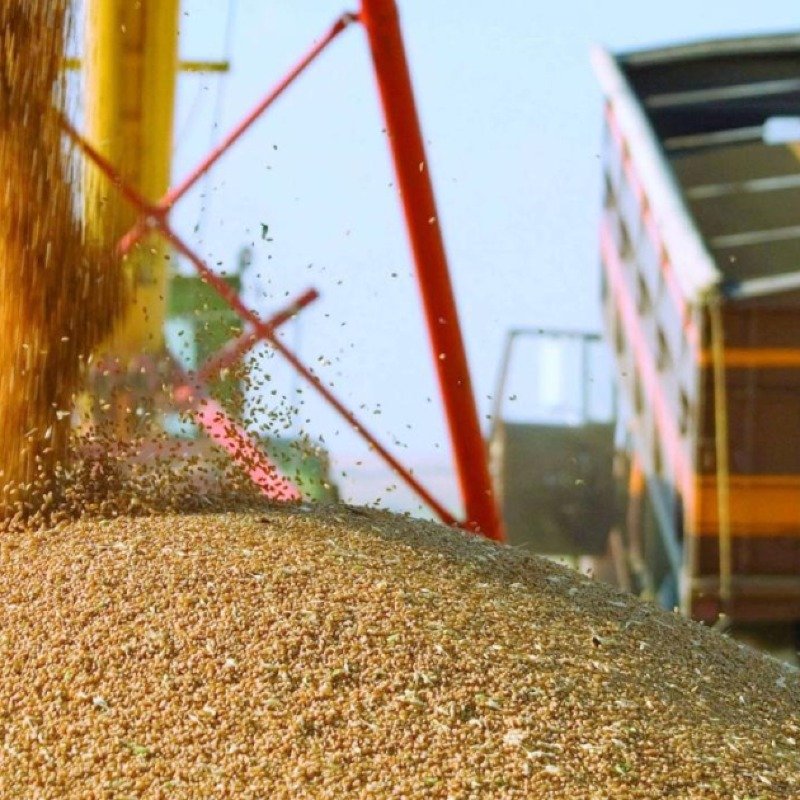 Azərbaycan Qazaxıstandan taxıl idxalını 120 dəfə artırıb