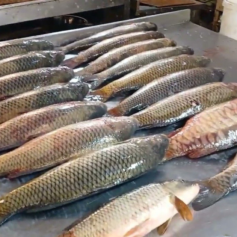 Azərbaycanda balığın qiyməti 3-4 dəfə qalxıb - ŞƏRH