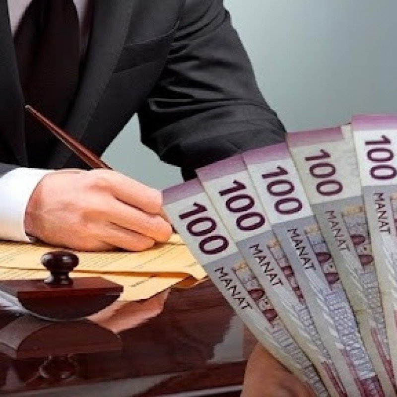 İş adamına qarşı 800 ağacın məhvi ittihamı