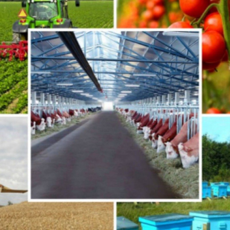 Maliyyə Nazirliyi: Subsidiyalar artıb, məhsuldarlıq azalıb