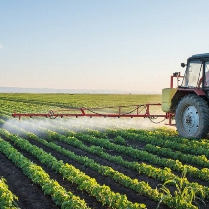 Kəndlini fəlakətdən qoruyan mexanizm: hamı yararlana bilirmi?