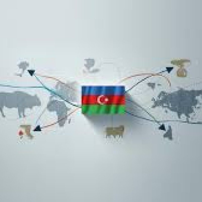 Azərbaycan Monqolustan və Somalidən ət idxalına başlayıb