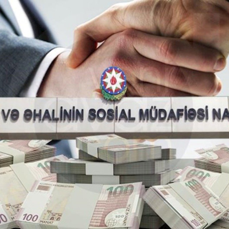 Agentlik Sevinc İsgəndərovadan 262 minə ofis icarəyə götürdü 