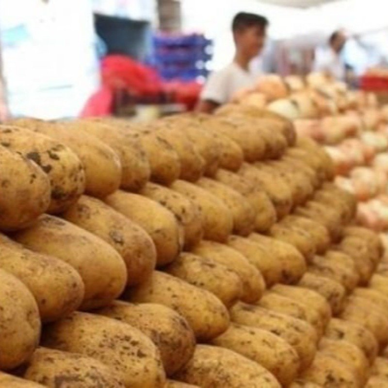 Kartofun qiyməti niyə artır?