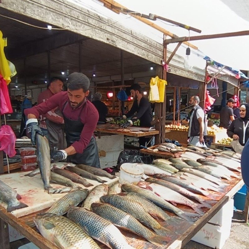 İranda müharibə Azərbaycanda balığın qiymətini bahalaşdırdı