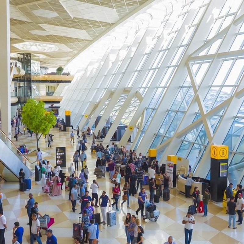 Səyahət qadağaları: Qanunvericilikdəki boşluq, yoxsa...