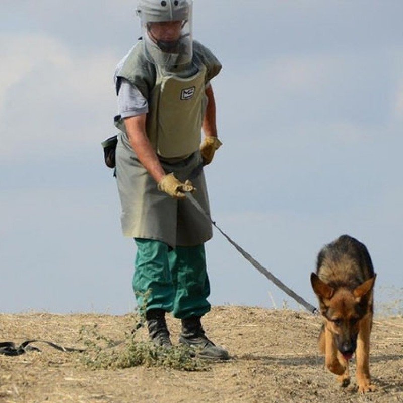 Minalardan nə vaxt tamamilə azad olacağıq? 