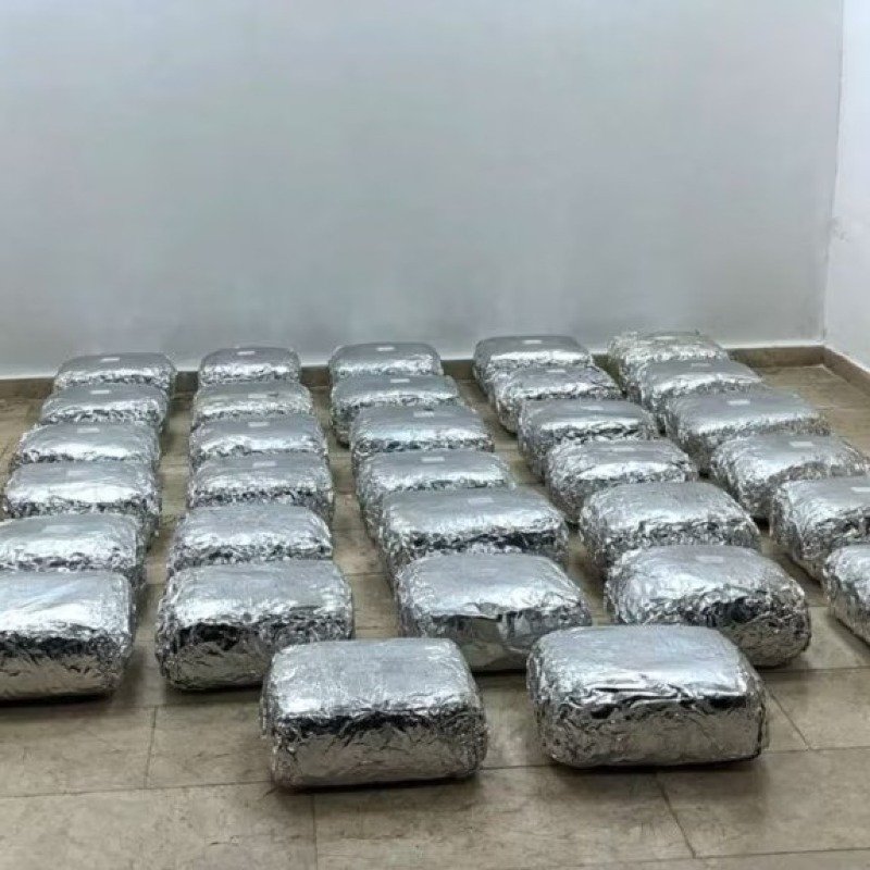 Azərbaycana 100 kiloqram narkotik daşınmasında ittiham edilən sürücü bəraət aldı