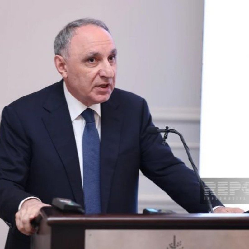 Bir ildə 18 yaşına çatmış 478 yeniyetmə cinayət məsuliyyətinə cəlb edildi