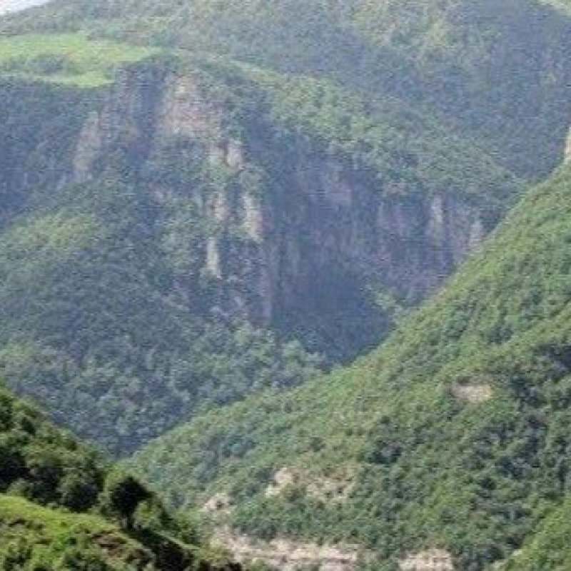 Bakıda daşınmaz əmlakları olan keçmiş məcburi köçkünlər Qarabağda evlə təmin edilmirlər?