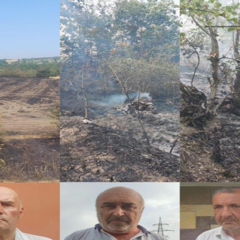 Qubada yanğın törədənlərdən biri həbs olunub, ikisi cərimələnib