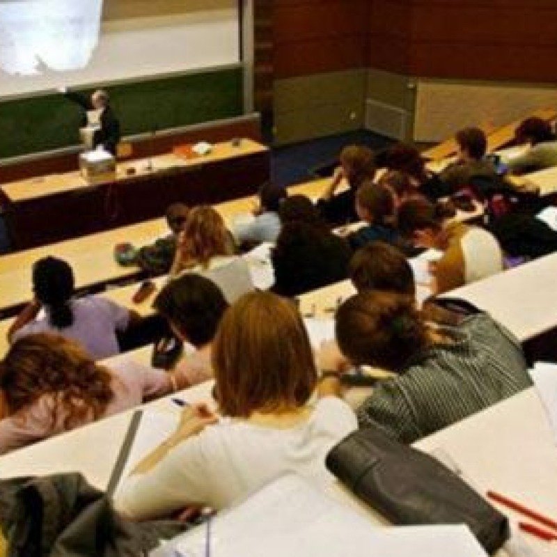 Təhsil ixtisası üzrə oxuyanların 83 faizi qadınlardır