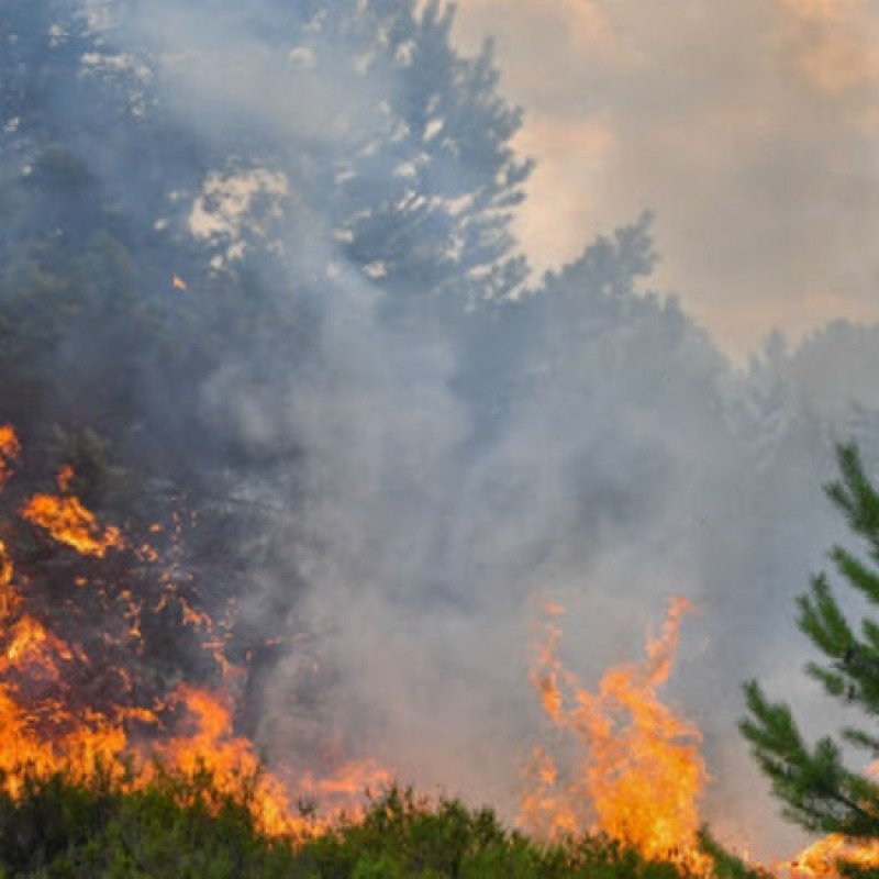 Bakıda mənzillərin qiyməti kəskin artıb