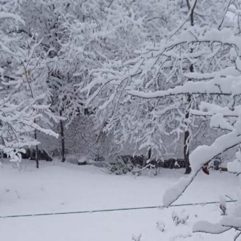 Bu əraziyə yarım metr qar yağdı