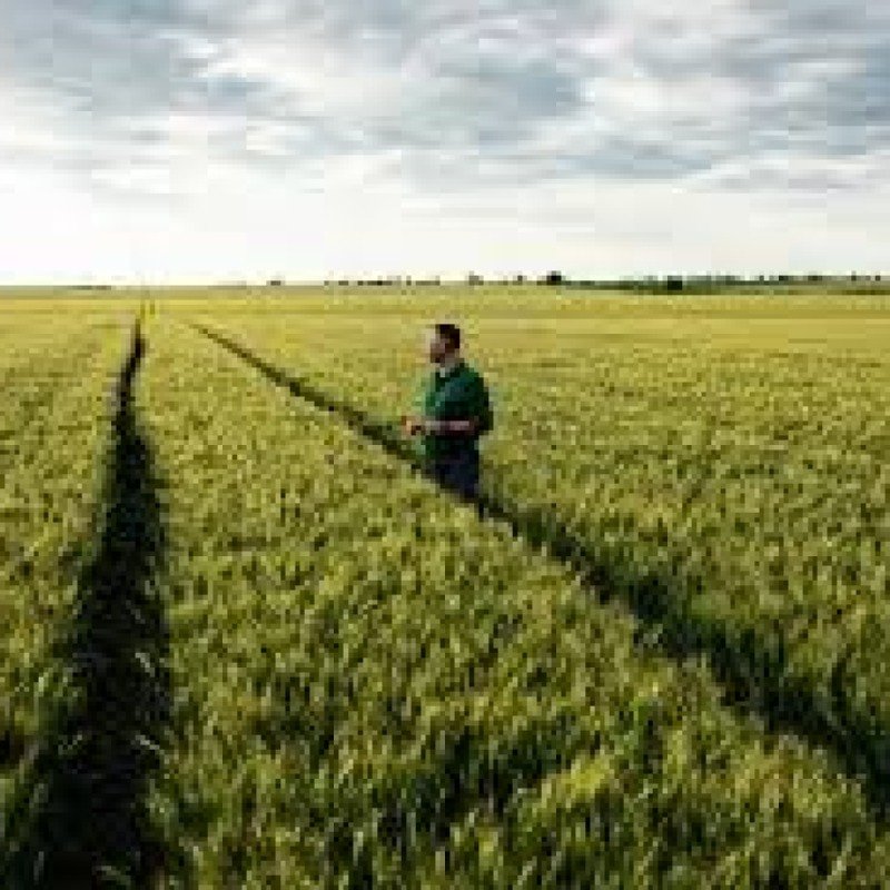 Fermerlərin pulu kəsilir, inzibati xərclər isə artırılır