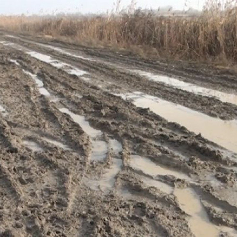 "Kəndimizin yoluna görə bizə qız verən yoxdur" 