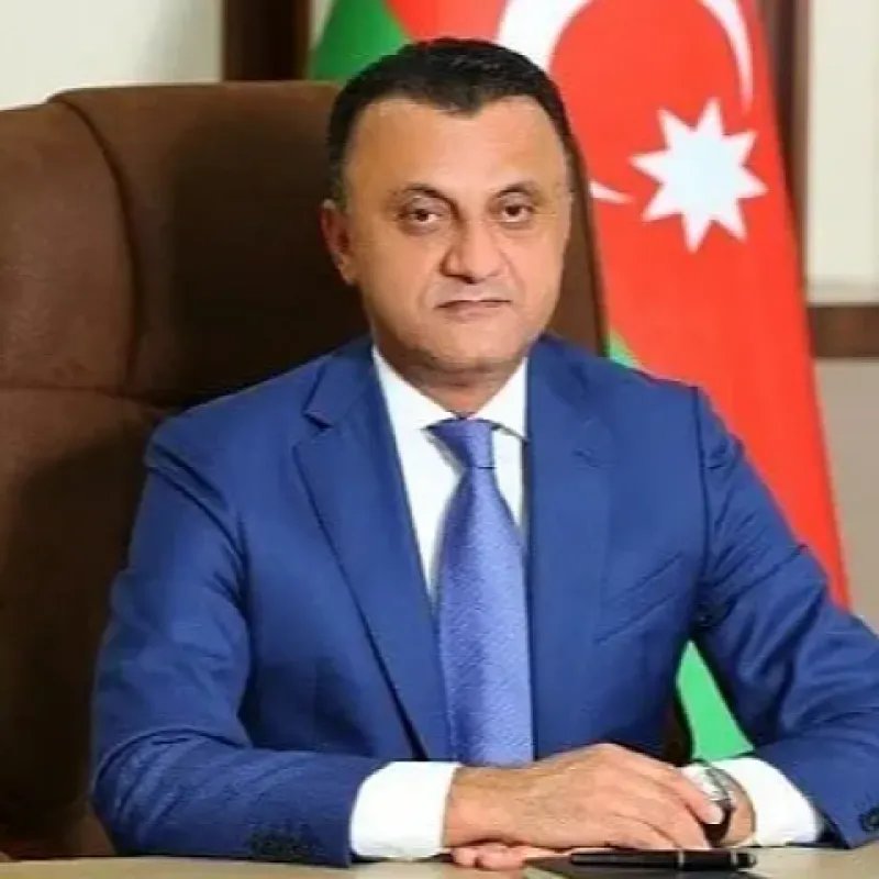 TƏBİB-in İcraçı direktoru vəzifəsindən azad edildi