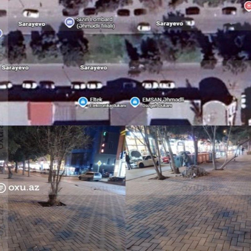 Əhmədlidə üç il əvvəl tikintiyə icazə verilməyən yerdə AĞACLAR QIRILDI