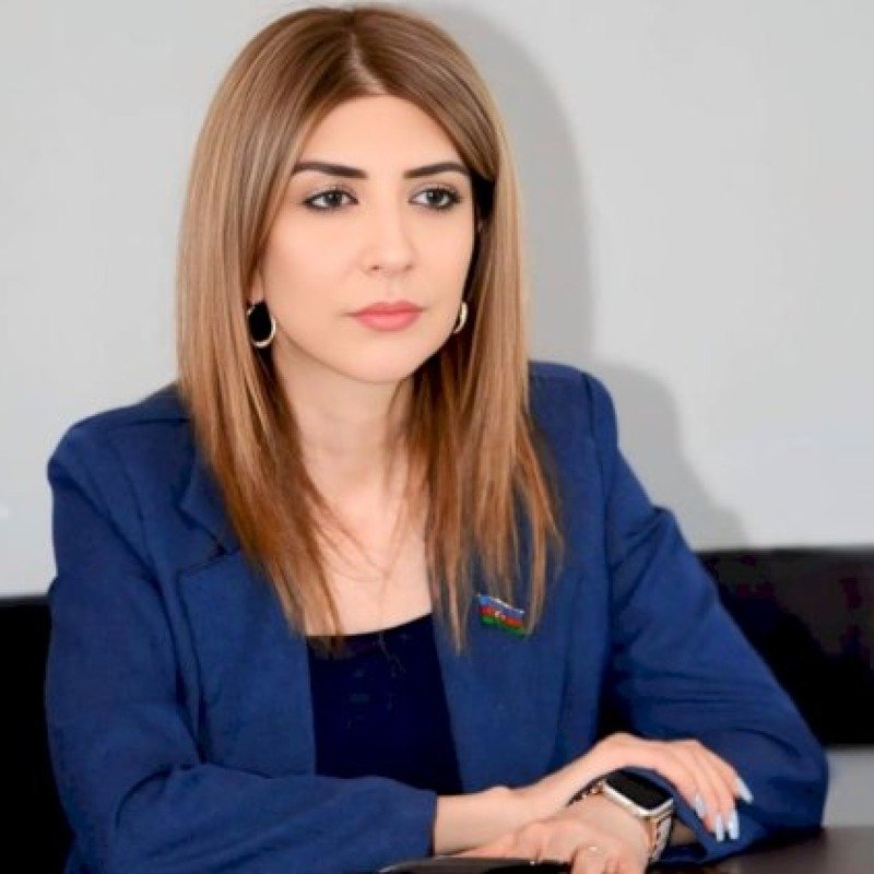 “Uşaqpulu tənbəllik yarada bilər” – Deputat