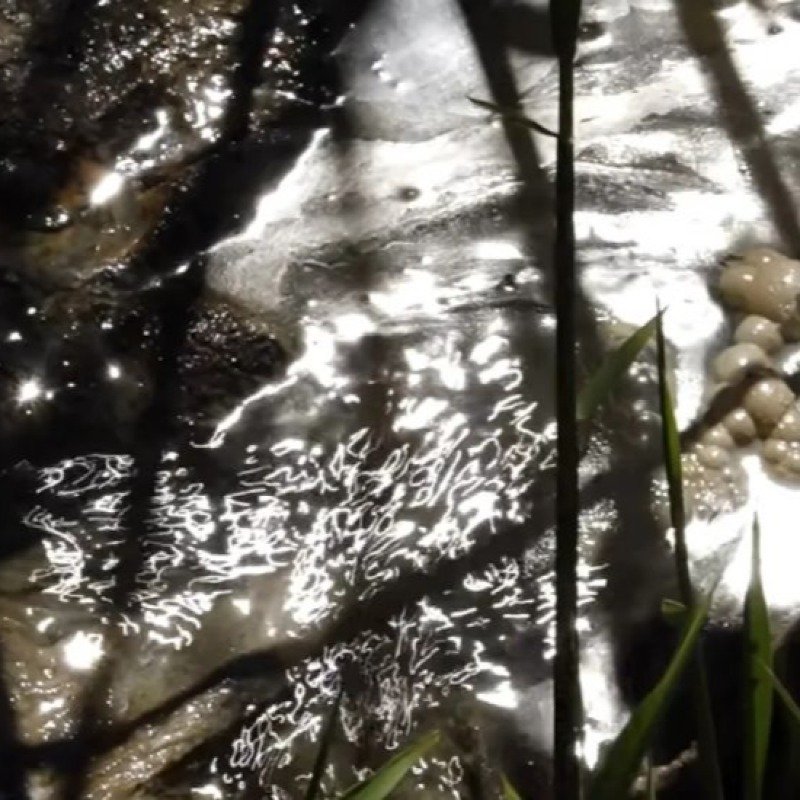 Zığ sakinləri təhlükə içində: "Uşaq gözümün qabağında kanala düşdü" 