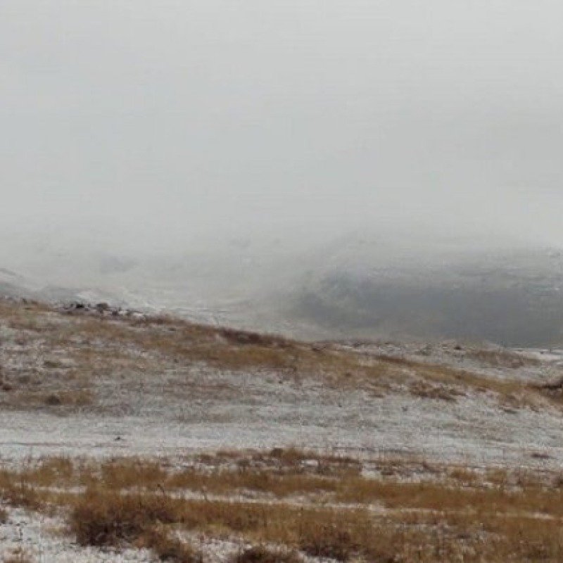 Naxçıvanın bu ərazilərinə qar yağır